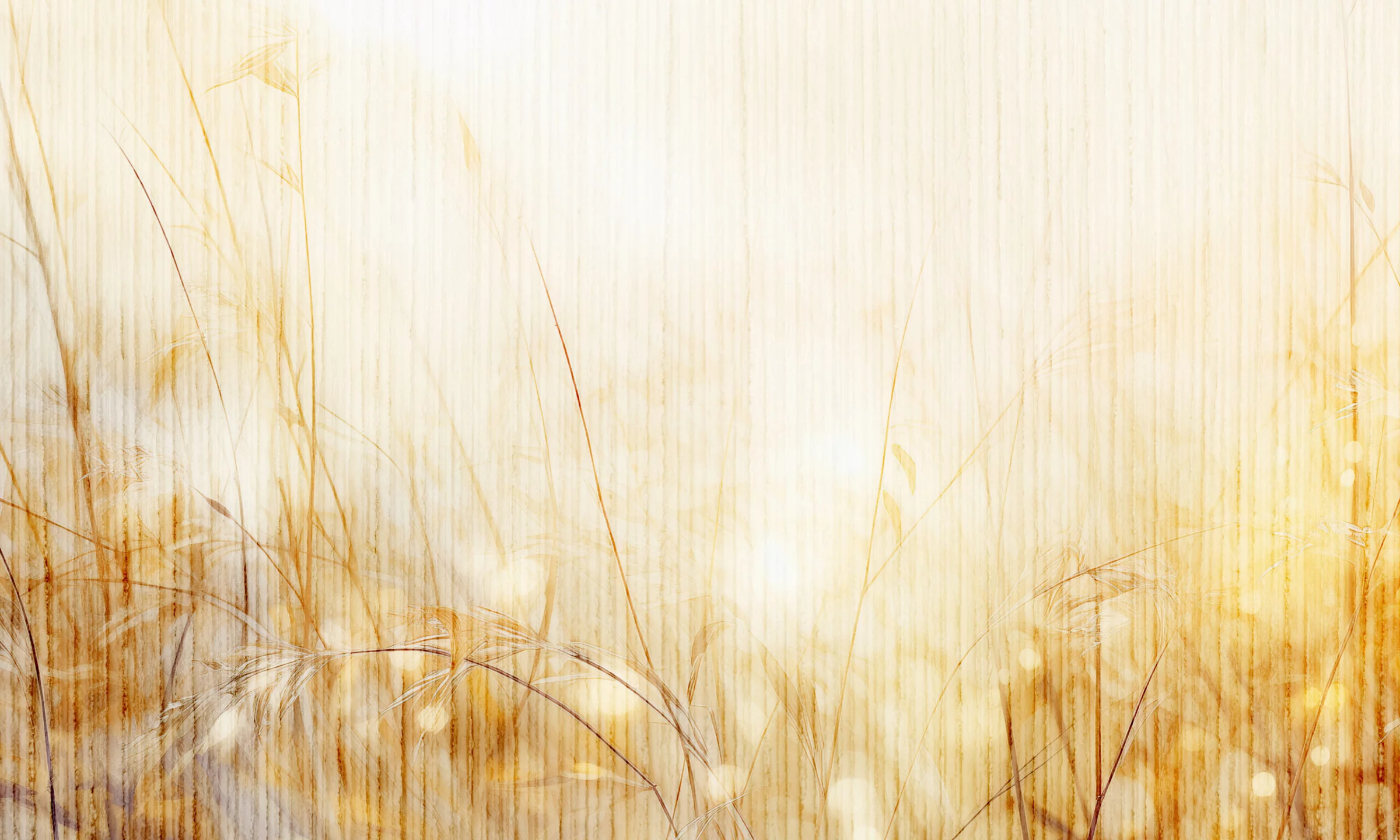 Wzór fototapety Bamboo Field – smukłe trawy w złocie i ochrze na kremowym tle